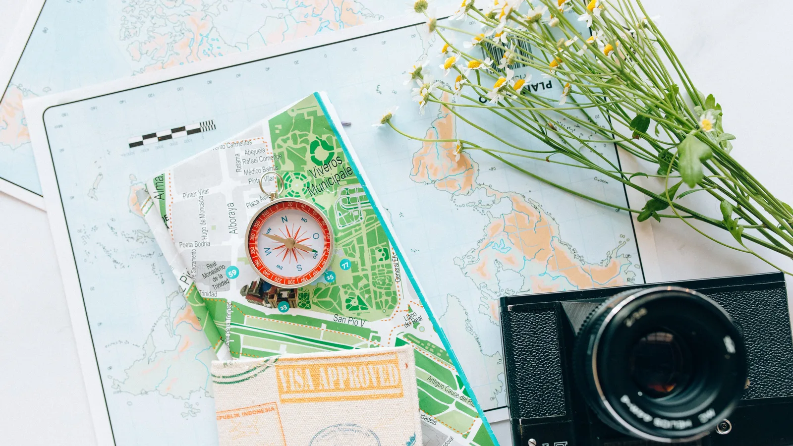 Audience Analytics Guide: The Metrics That Actually Predict Subscriber Revenue